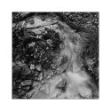 Stream lands