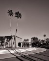 Steps of City Hall - Palm Springs