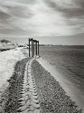 BeachSeen