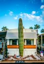 Desert life