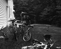 Dry Plate - Bikes