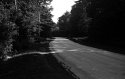 Dry Plate - Morning Street View