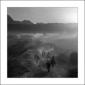 Returning from Mount Bromo, Java