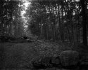 Dry Plate - Hideaway