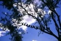 A 'Bird Meet-up!'