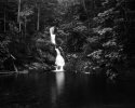 Dry Plate - Gem Pool