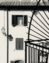 Under the Tuscan sun