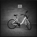 OFO Bike