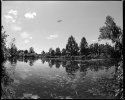 Kenilworth Pond