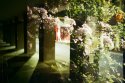 Pillars And Flowers
