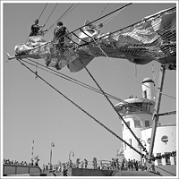 Impression from The Tall Ship's Race 2018