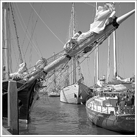 Impression from the Tall Ship's Race 2018