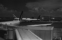 At Fiumicino
