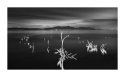 Salton Sea Night #2