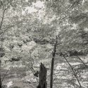 B_8144644