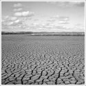 Dutch Landscape - I
