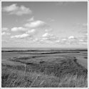 Dutch Landscape - II