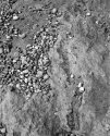Mud and stones on the beach