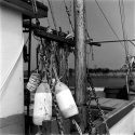 Bumpers and Rigging