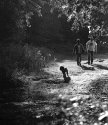 'Contre-Jour'