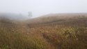Nose Hill Fog