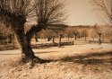 Lith #4