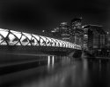 The Peace Bridge