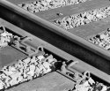 On the rails again