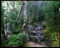 Misty Trail