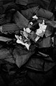 Random Trash Pile