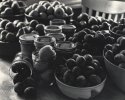 Canning Season