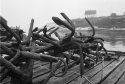 Fishhooks