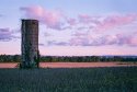 Evening Pastels