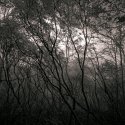 Chaos at dusk