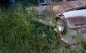 Some old vehicles down in the "patch"