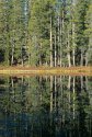 Siesta Lake