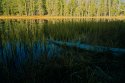 Siesta Lake