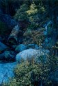 Fall at Yosemite
