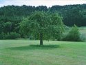 St. Thomas, Germany -1