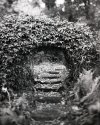 The (Ancient and ) Winding Stair