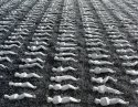 Shrouds 03