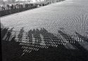 Shrouds 05