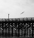 PICT0250-1-2
