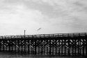 PICT0250-1
