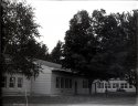 Dry Plate - School and tree