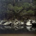 Tannin-stained lagoon