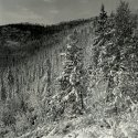 Mount Josephine