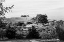 Hill Scene