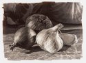 Garlic and Friends