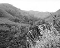 Canyon